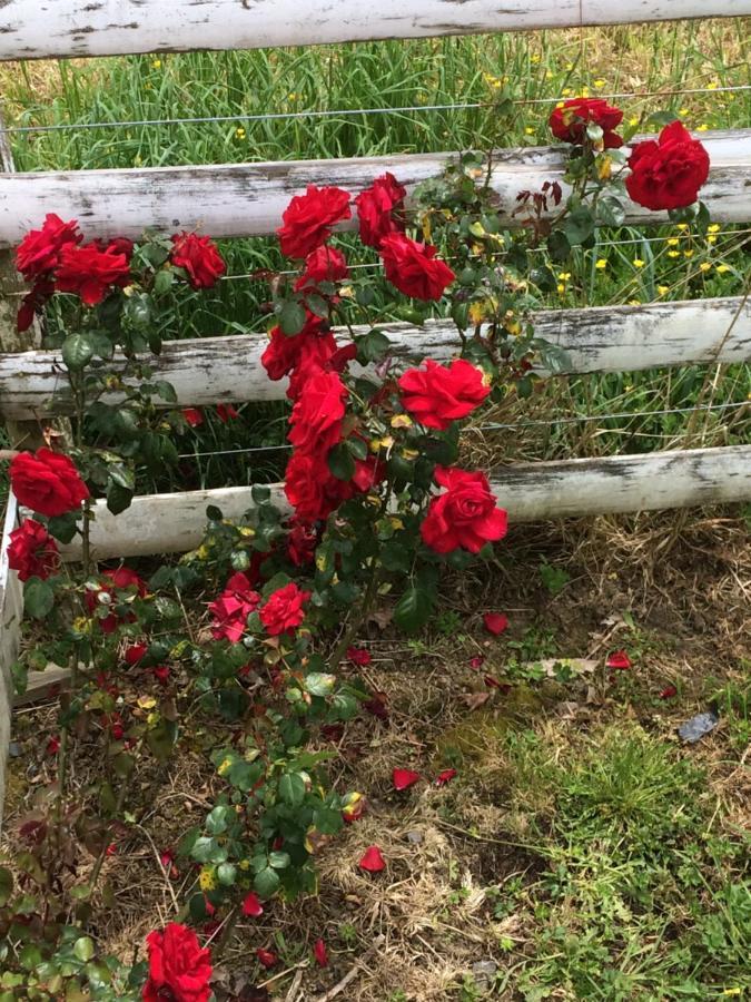 Hunua Ranges Bed & Breakfast Екстериор снимка